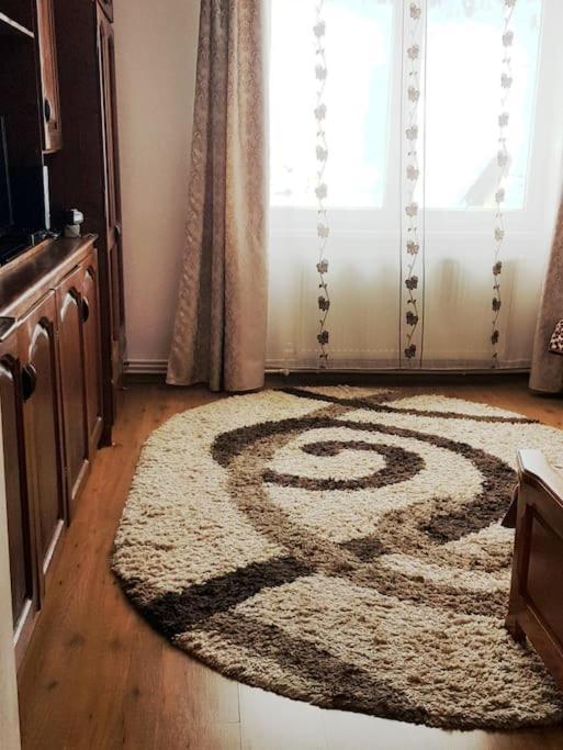 Апартаменты Garsoniera Emilia Кымпулунг-Молдовенеск Экстерьер фото
