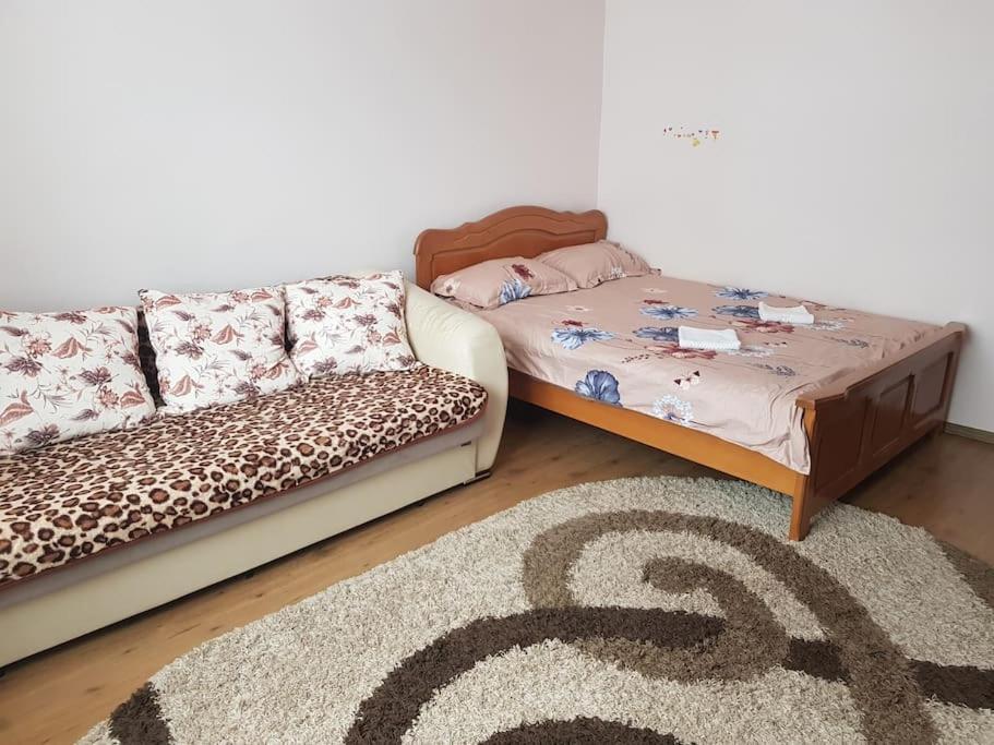 Апартаменты Garsoniera Emilia Кымпулунг-Молдовенеск Экстерьер фото