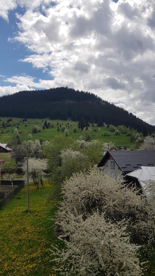Апартаменты Garsoniera Emilia Кымпулунг-Молдовенеск Экстерьер фото